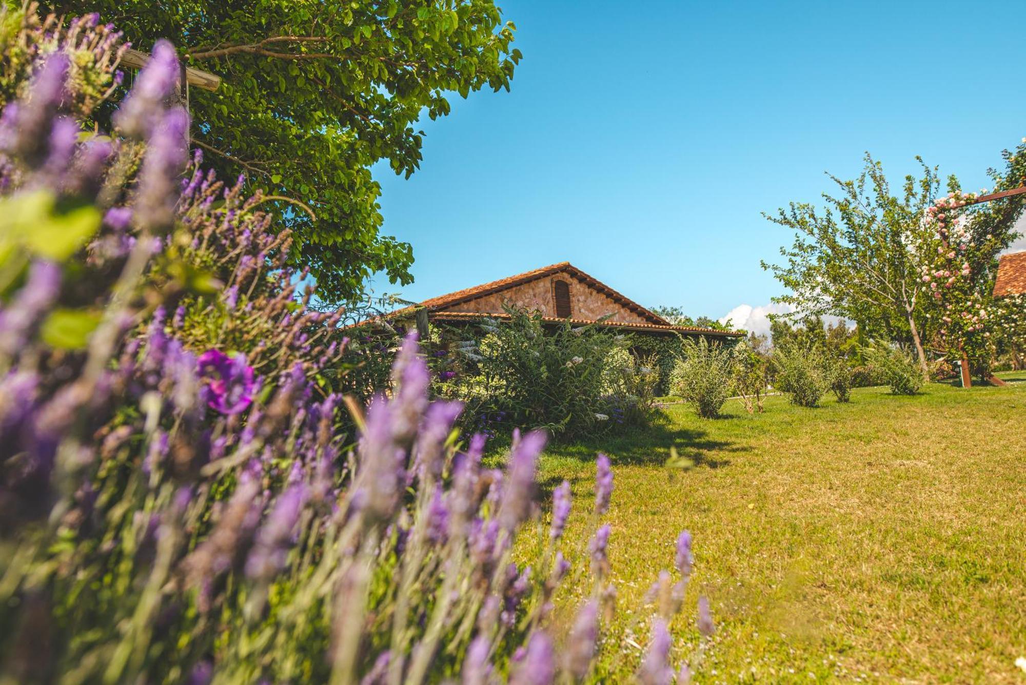 Villa Casale Poggio Nebbia Tarquinia Exterior foto